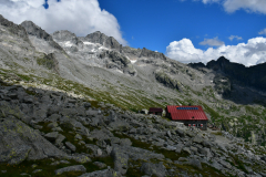 © Daniele Maini - In cammino tra i ghiacciai