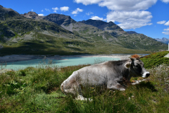 © Daniele Maini - In cammino tra i ghiacciai