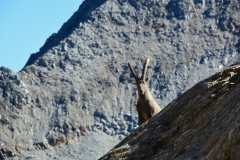 © Daniele Maini - Via Alta Idra
