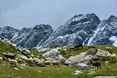 © Daniele Maini - In cammino sulle creste