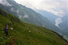 © Daniele Maini - Via Alta Idra